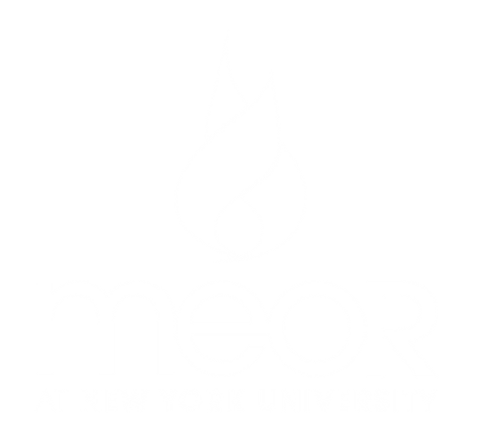 OUR TEAM MEOR NYU our-team-meor-nyu